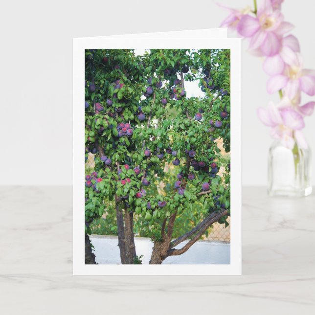 Purple Plum Tree Portrait Card (Orchid)