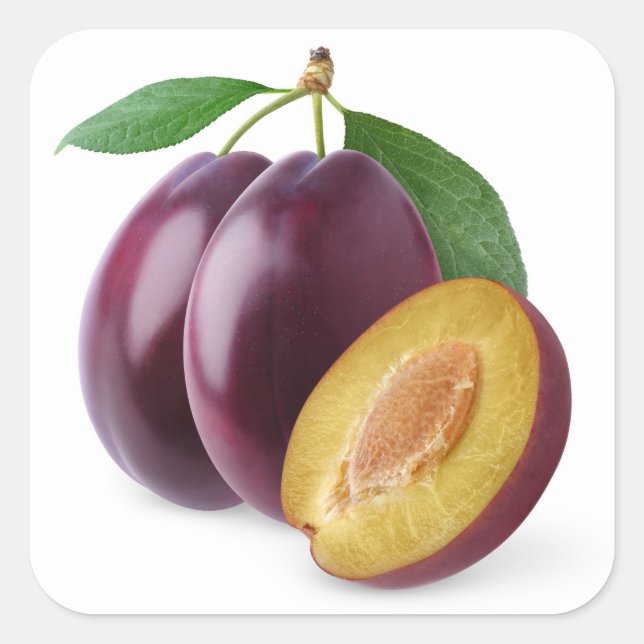 Purple plums square sticker (Front)