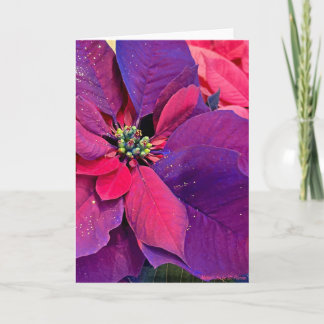 Purple Poinsettias Card
