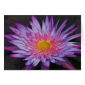 Purple Pond Lily Frameable All Occasion Card 7x5 (Front Horizontal)