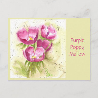 Purple Poppy Mallow Post Card