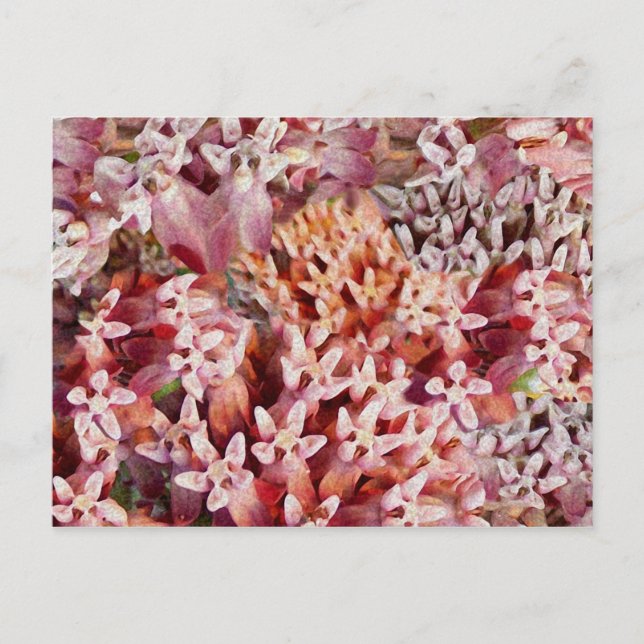 Purple Postcard (Front)