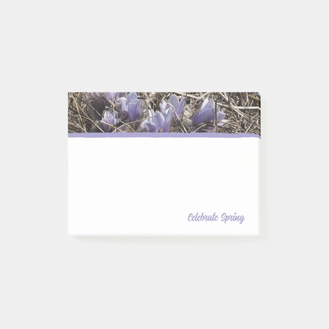 Purple Prairie Crocus Notes (Front)