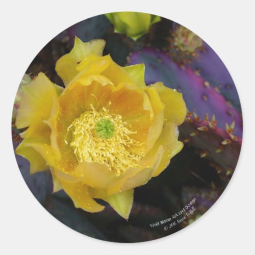 Purple prickly pear opuntia cactus yellow flowers classic round sticker