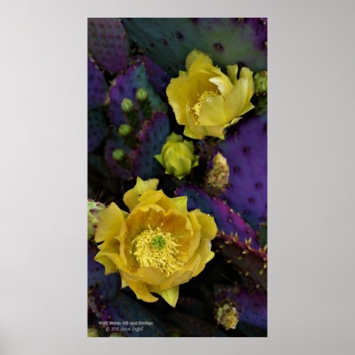 Purple prickly pear opuntia cactus yellow flowers poster
