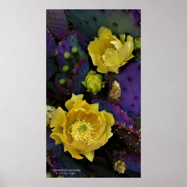 Purple prickly pear opuntia cactus yellow flowers poster | Zazzle