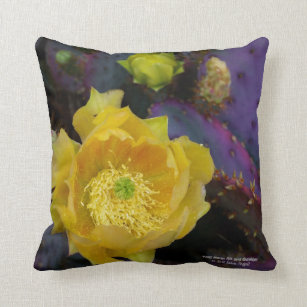 prickly pear cactus pillow