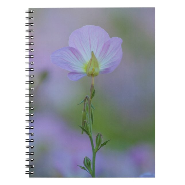 Purple Primrose Notebook (Front)