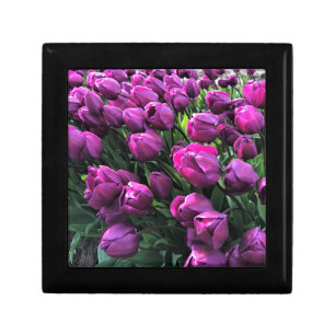 Purple Prince Tulips Gift Box