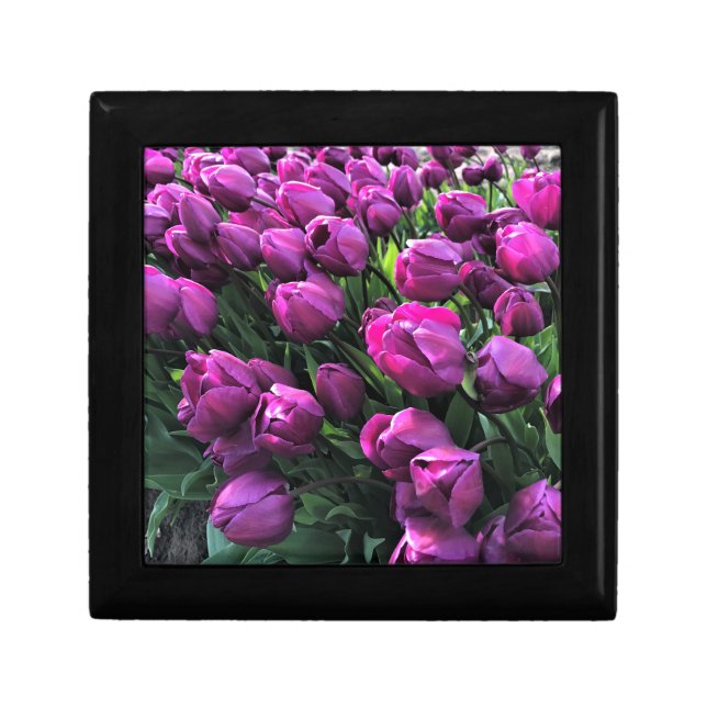 Purple Prince Tulips Gift Box (Front)