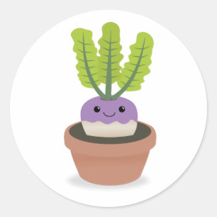 Purple Prince Turnip Classic Round Sticker