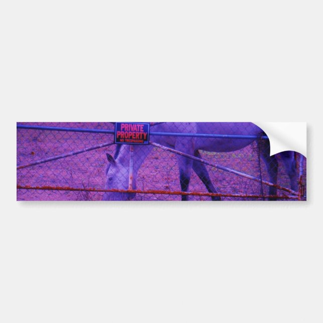 Purple Private Property Horse Bumper Sticker (Front)