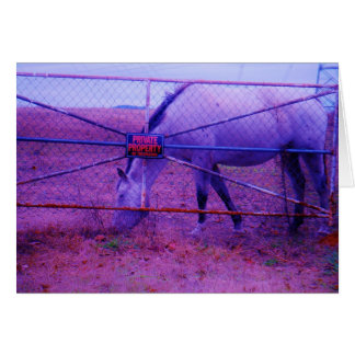Purple Private Property Horse Cards
