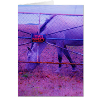 Purple Private Property Horse Cards