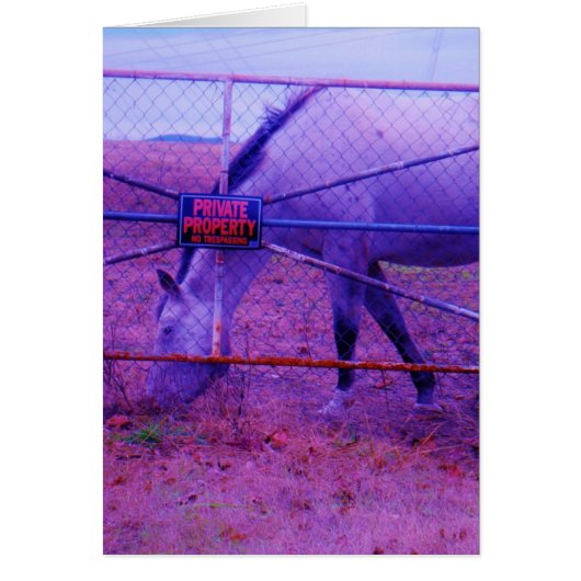 Purple Private Property Horse Cards (Front)