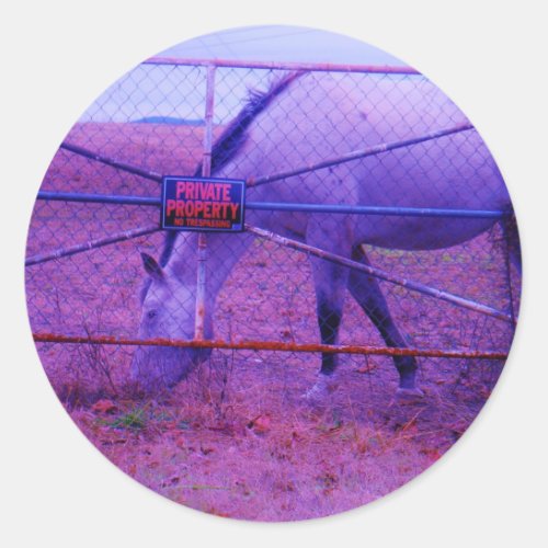 Purple Private Property Horse Classic Round Sticker