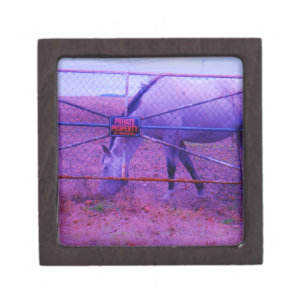 Purple Private Property Horse Gift Box