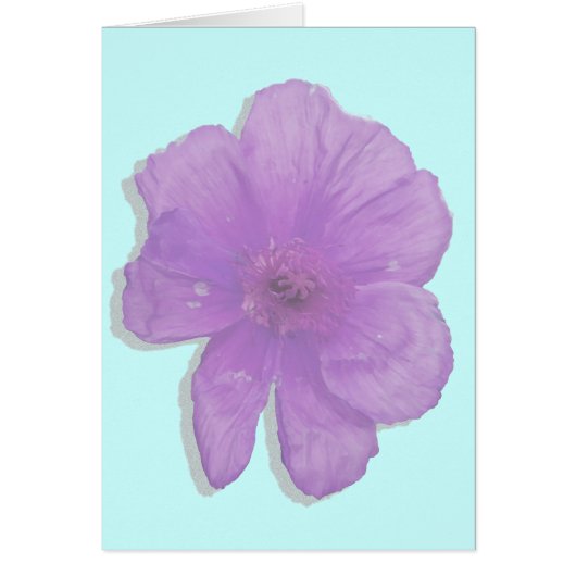 Purple Punch/ PopArt Flower (Front)