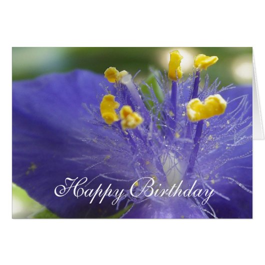 Purple Queen-A Cards (Front Horizontal)
