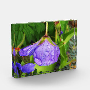Purple Raindrops ~ 5x7 Acrylic Block