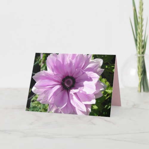 Purple Rannunculus Spring Flower floral Card