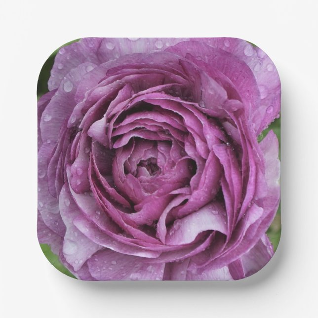 Purple Ranunculus Paper Plates (Front)