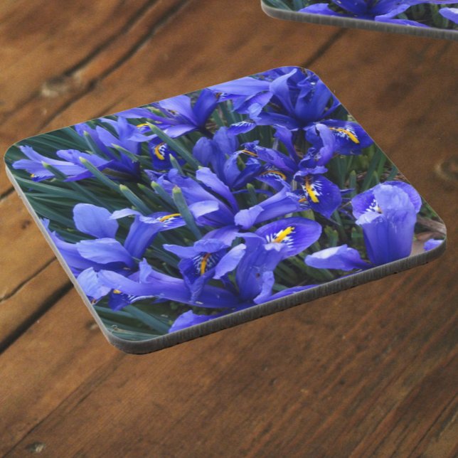 Purple Reticulated Irises Floral Beverage Coaster (In Situ)