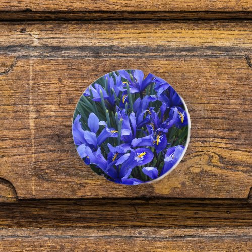 Purple Reticulated Irises Floral Ceramic Knob
