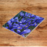 Purple Reticulated Irises Floral Ceramic Tile