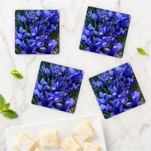 Purple Reticulated Irises Floral Coaster Set