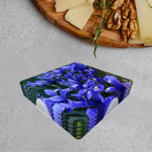 Purple Reticulated Irises Floral Coaster Set