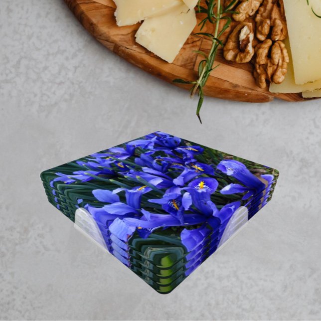 Purple Reticulated Irises Floral Coaster Set (In Situ Set)
