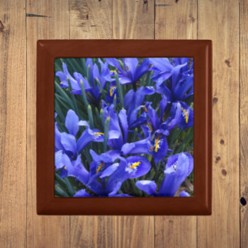 Purple Reticulated Irises Floral Gift Box by northwestphotos at Zazzle