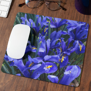 Purple Reticulated Irises Floral Mouse Pad