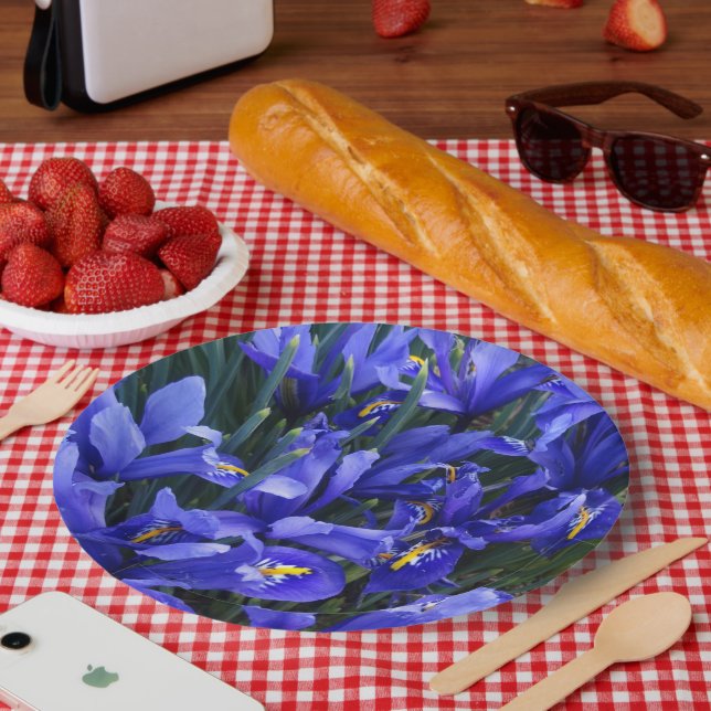 Purple Reticulated Irises Floral Paper Plates (Picnic)