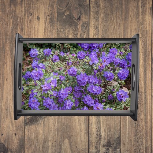 Purple Rhododendron Blooms Floral Serving Tray