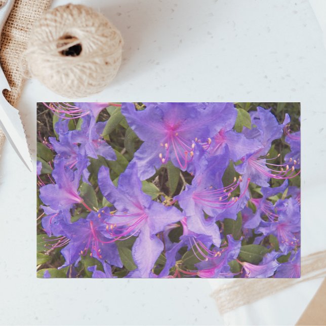 Purple Rhododendron Flowers Floral Tissue Paper (In Situ)