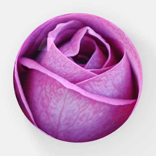 Purple Rose Artsy Glass Paperweight