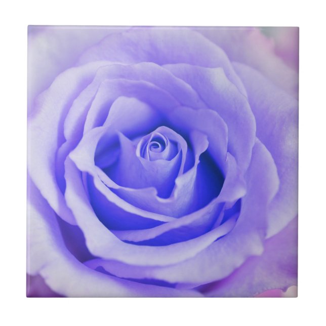 Purple Rose Background Customized Lavender Blank Ceramic Tile (Front)