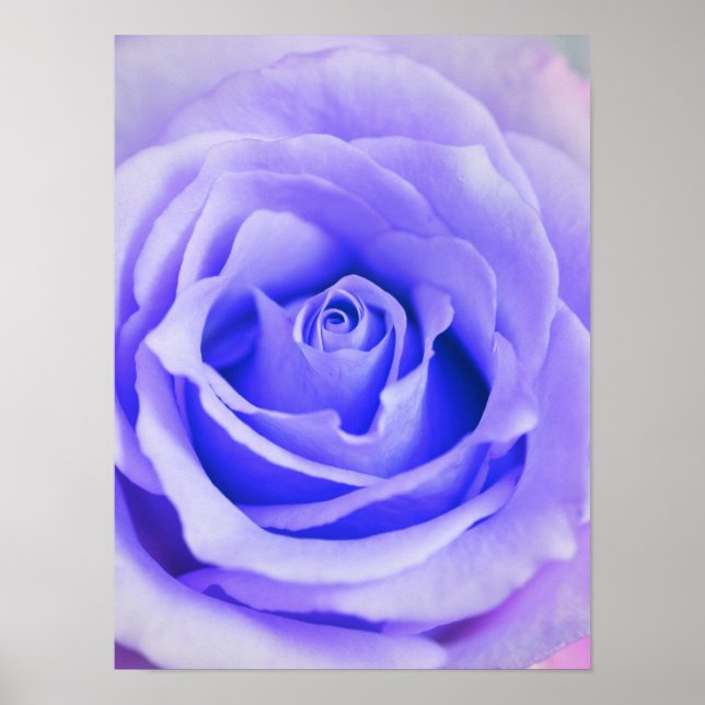 Purple Rose Background Customized Lavender Blank Poster (Front)