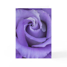 Purple Rose Card