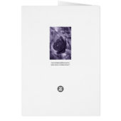 Purple Rose Cards (Back)