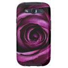 Purple Rose