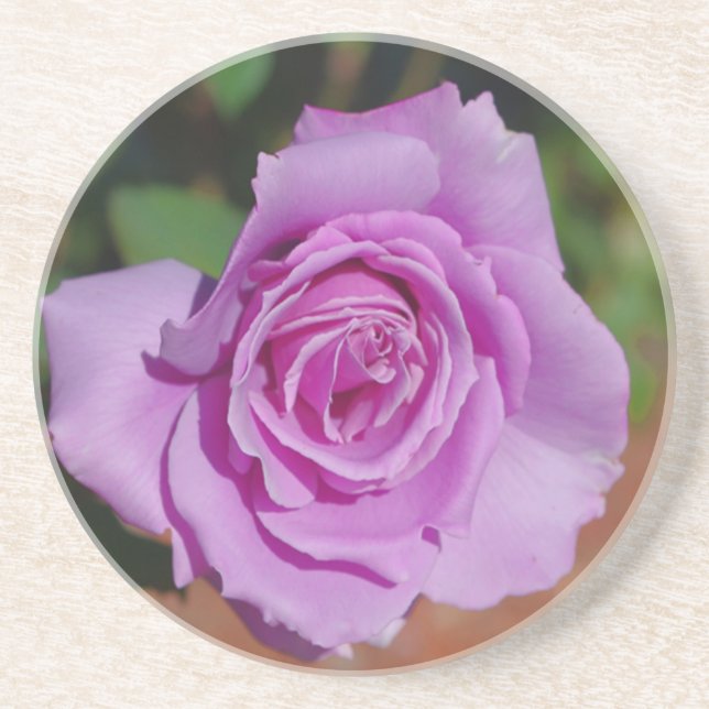 Purple Rose Drink Coaster (Front)