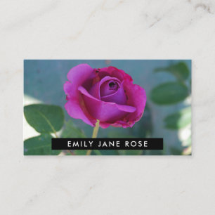 Purple Rose, Floristry Business Card