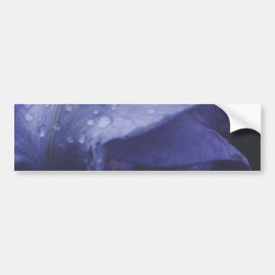 Purple Rose Flower Bumper Sticker