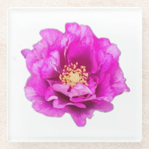 Purple Rose Glass Coaster