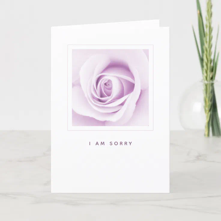 Purple rose I am sorry apology folded Card Zazzle