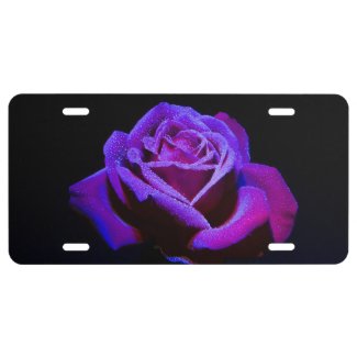 Purple Rose License Plate