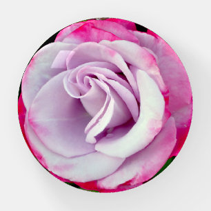 Purple rose paperweight